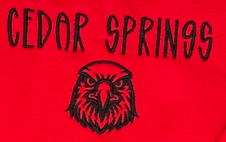 Cedar Springs Hawk Head sweatshirt-Embroidered