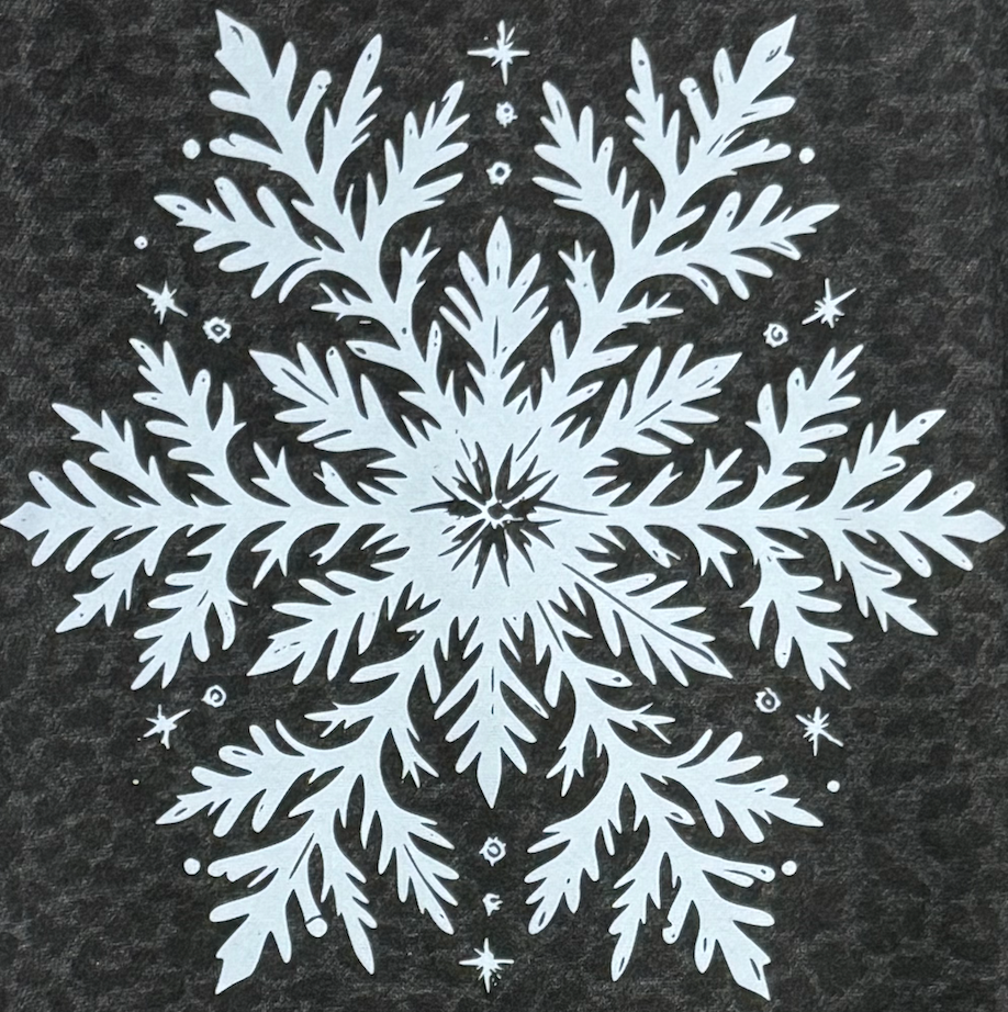 Leopard Print Snowflake Sweatshirt-DTF